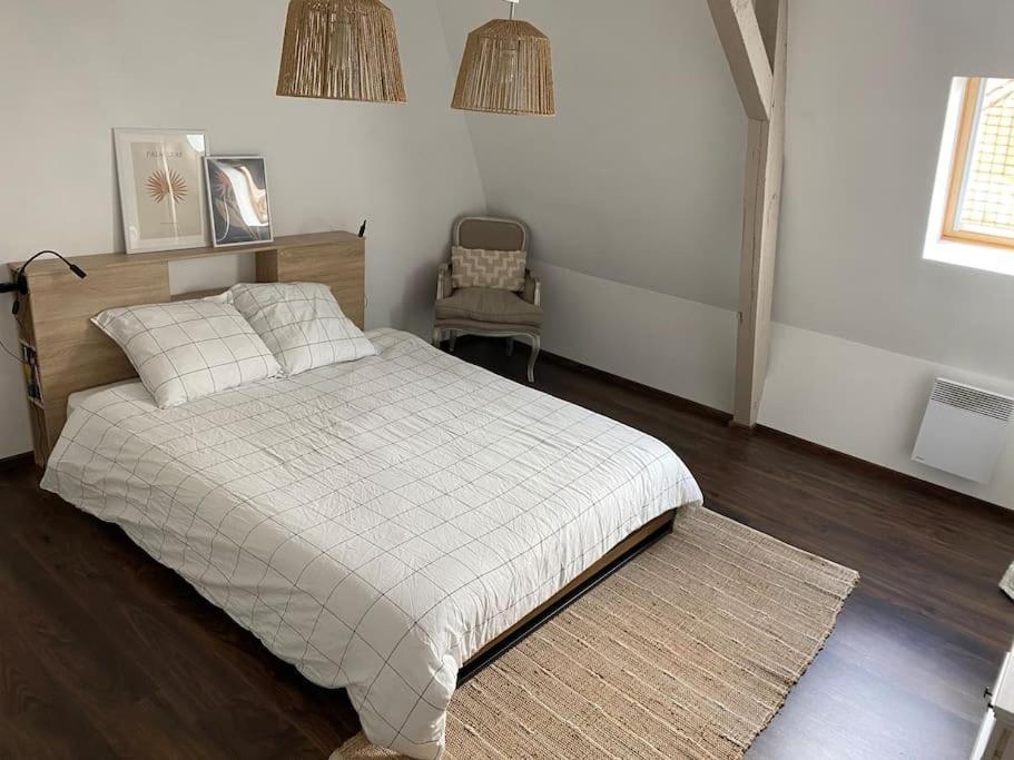 Le 189 : Superbe Triplex Centre Appartement Béthune